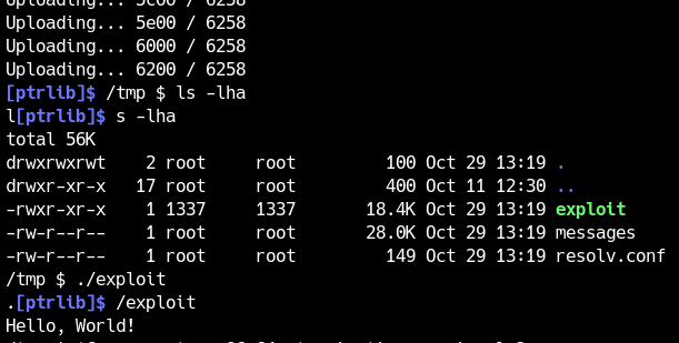 upload.py의 실행 결과